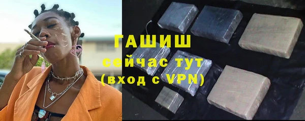 ECSTASY Богданович