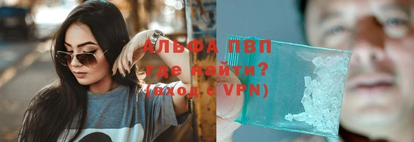 ECSTASY Богданович